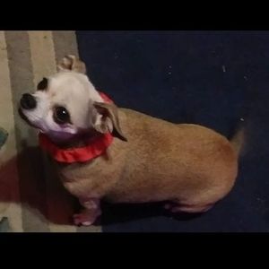 Meet your Posher, Tamara